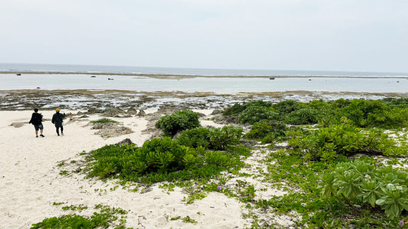 久高島の海