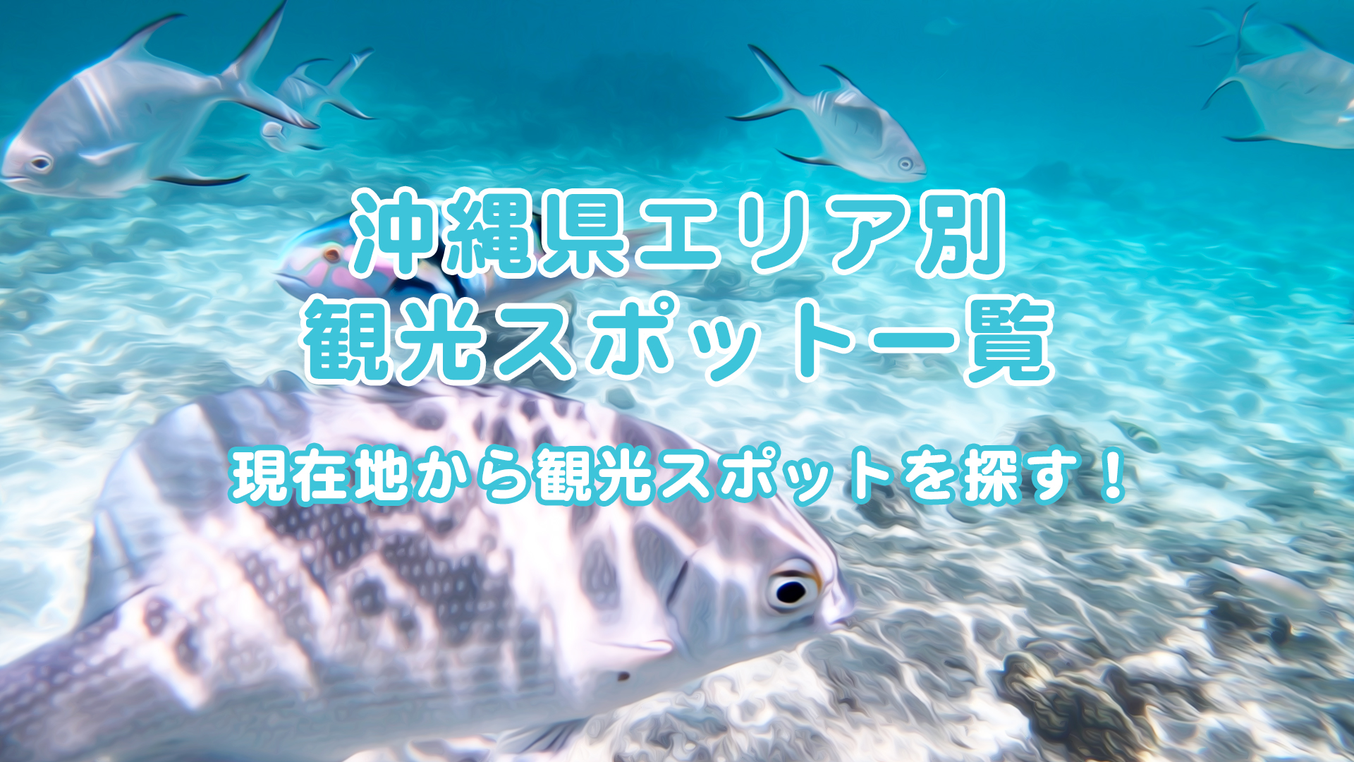 沖縄県エリア別 観光スポット一覧