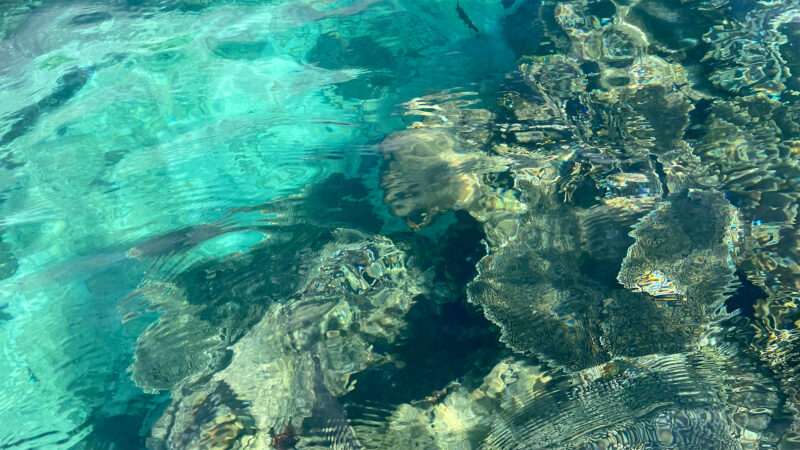 沖縄県北部の海